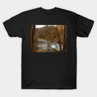 Soak Creek Tennessee T-Shirt